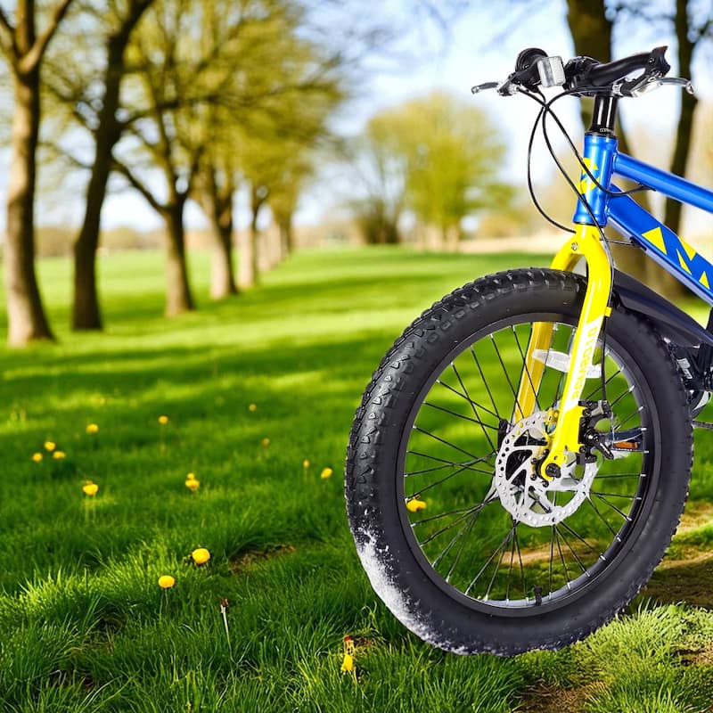 20 Inch Kids Fat Tire Mountain Bike, Boys & Girls 7-Speed Shimano with Dual Disc Brakes & Suspension Fork