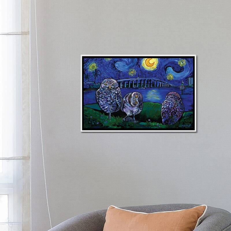 iCanvas "Burrowing Owls In The Starry Night" by Amanda Zirzow Framed