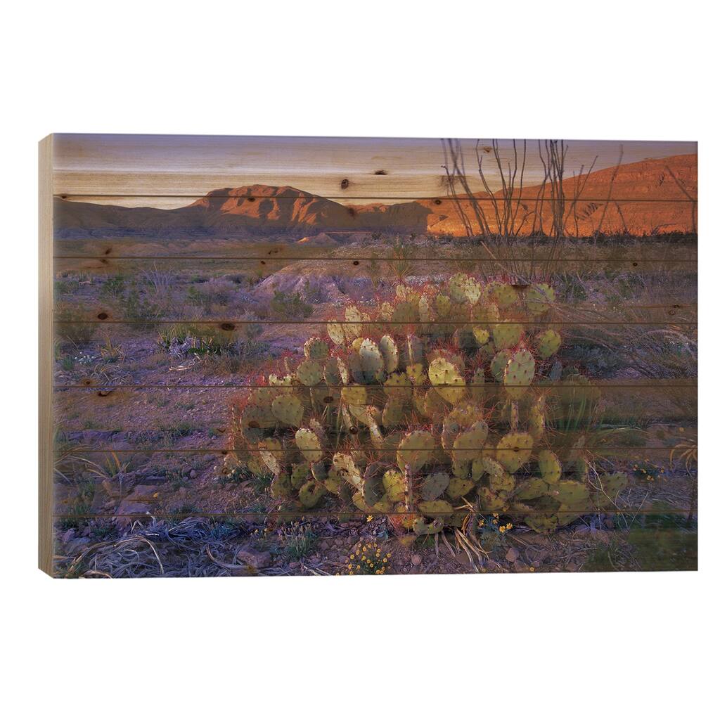 Opuntia In Chihuahuan Desert Landscape, Big Bend National Park, Texas Print On Wood by Tim Fitzharris - Multi-Color
