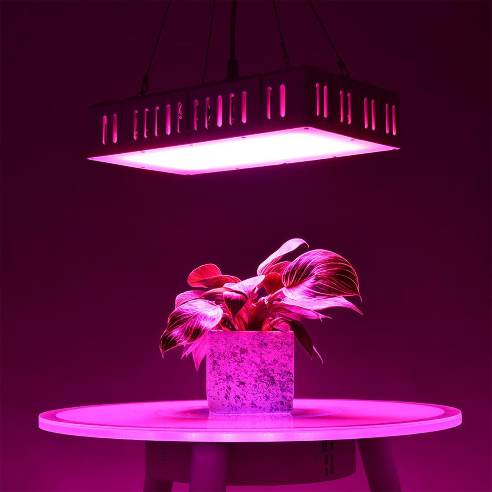 1500w led grow light full spectrum hot sale