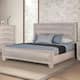 Option White Oak