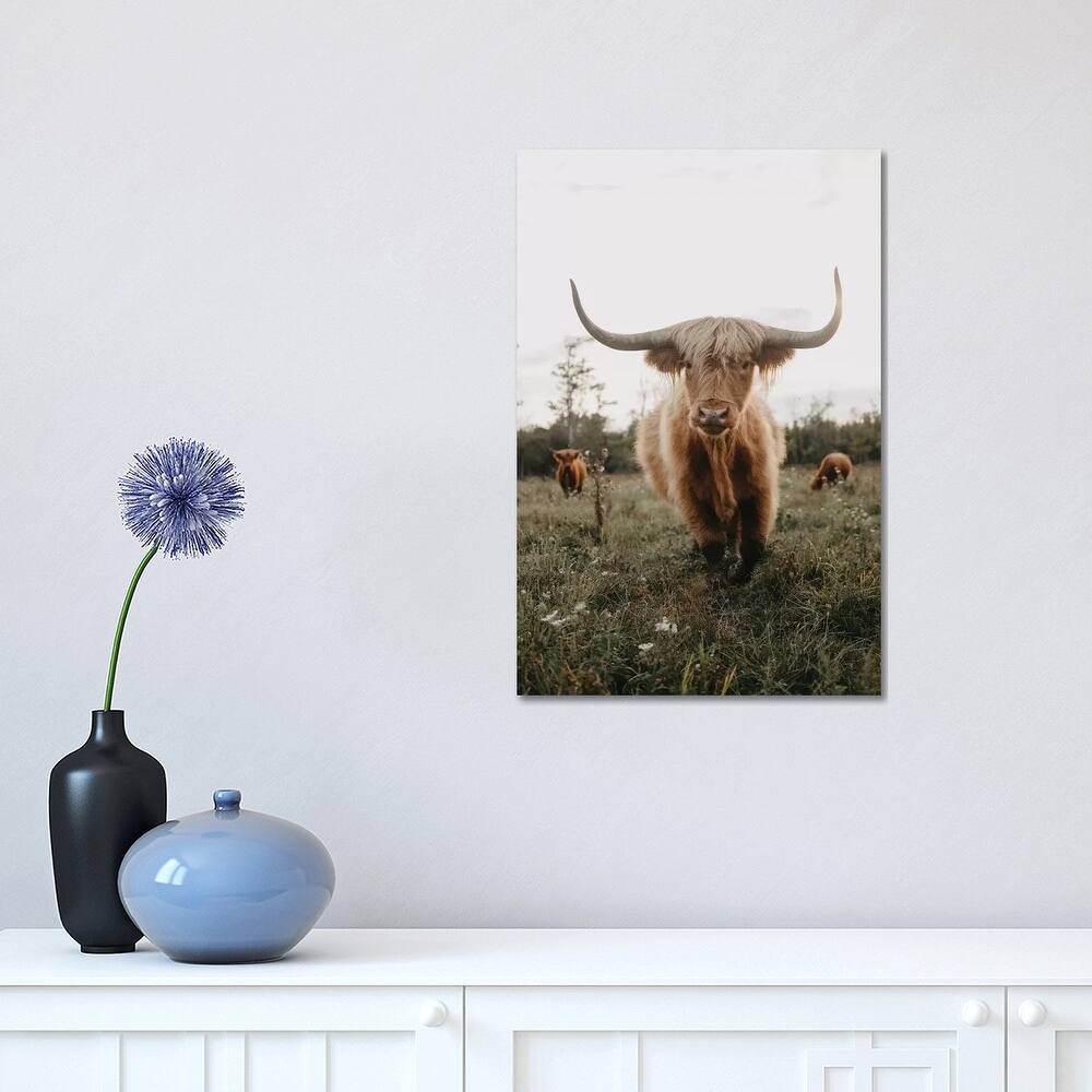 iCanvas "Highland Cow At Sunset" by Chelsea Victoria Canvas Print