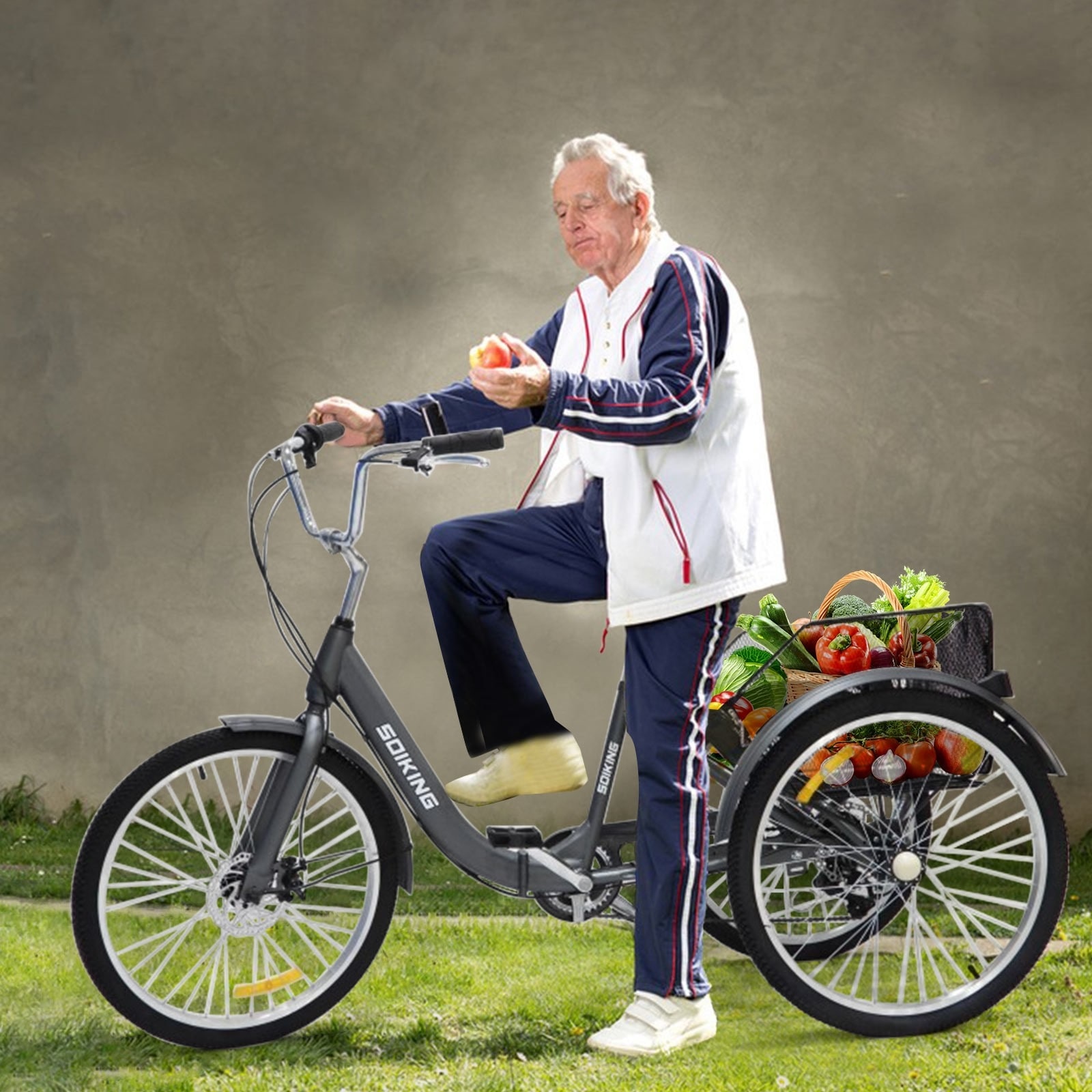 Tricycle cruiser deals