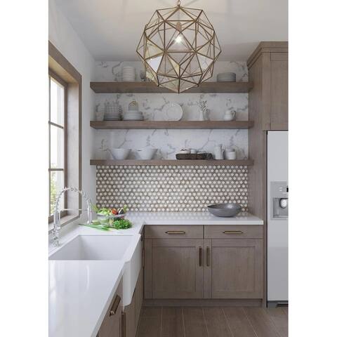 Apollo Tile 5 Pack Beige and White 10.5-in. x 11.5-in. Hexagon Polished Marble Mosaic Tile (4.19 Sq ft/case)