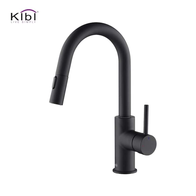 Single-Hole Pull-Down Kitchen Faucet with Sprayer and Magnetic Docking - Matte Black