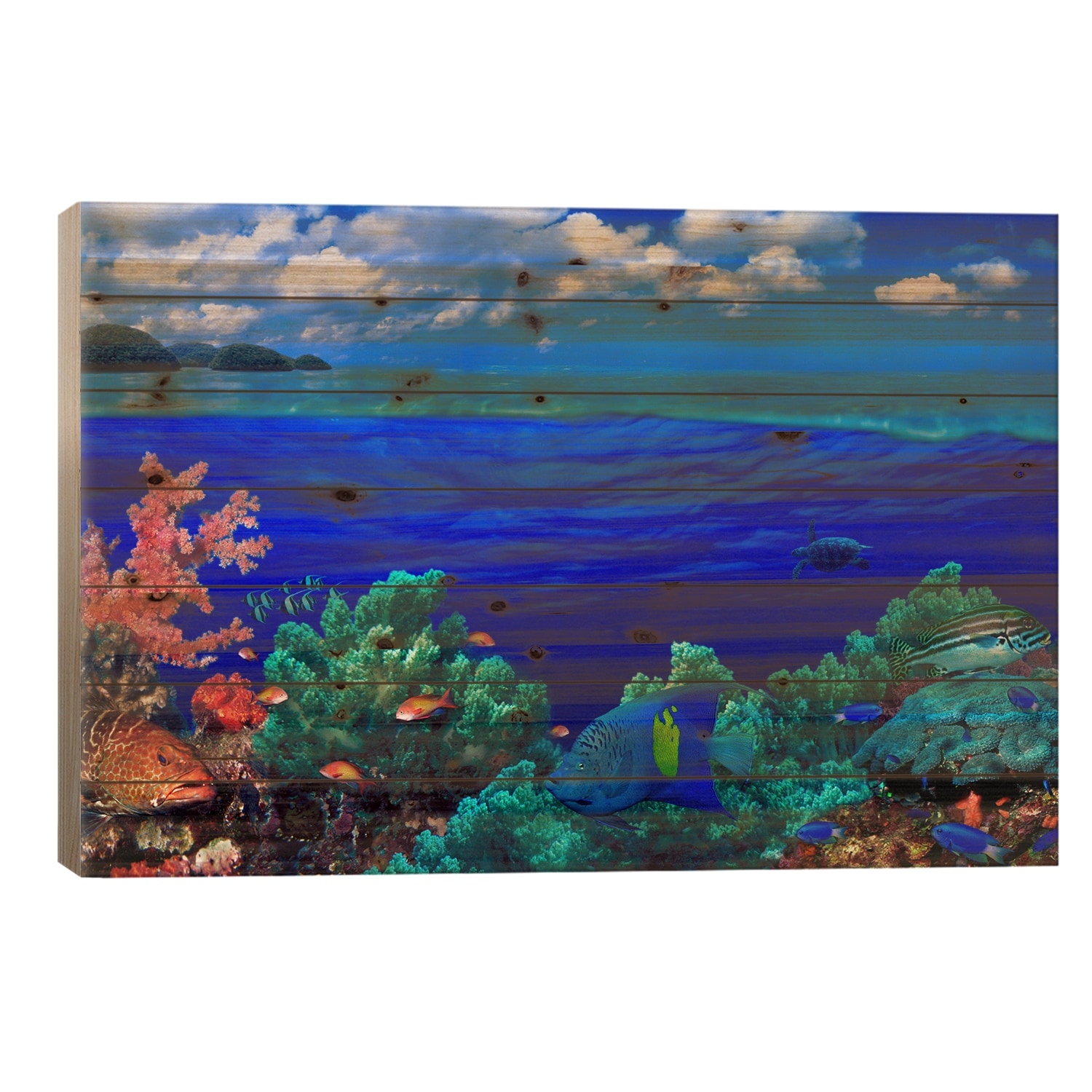 Cloudy Seascape With An Underwater View Of A Reef Marine Ecosystem Print On Wood by Panoramic Images - Multi-Color