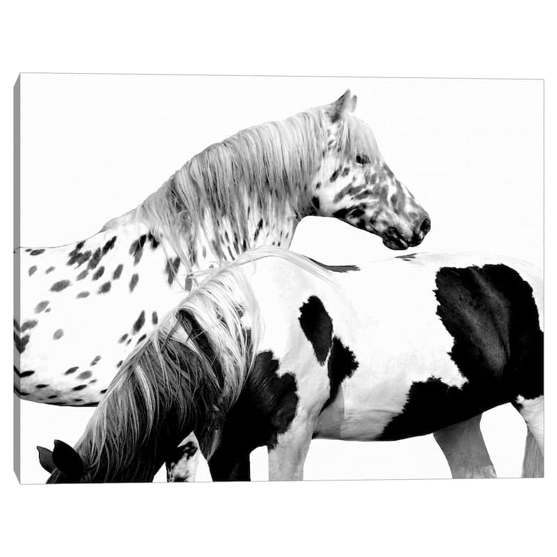 Spotted and Pinto by Samantha Carter Canvas Art Print