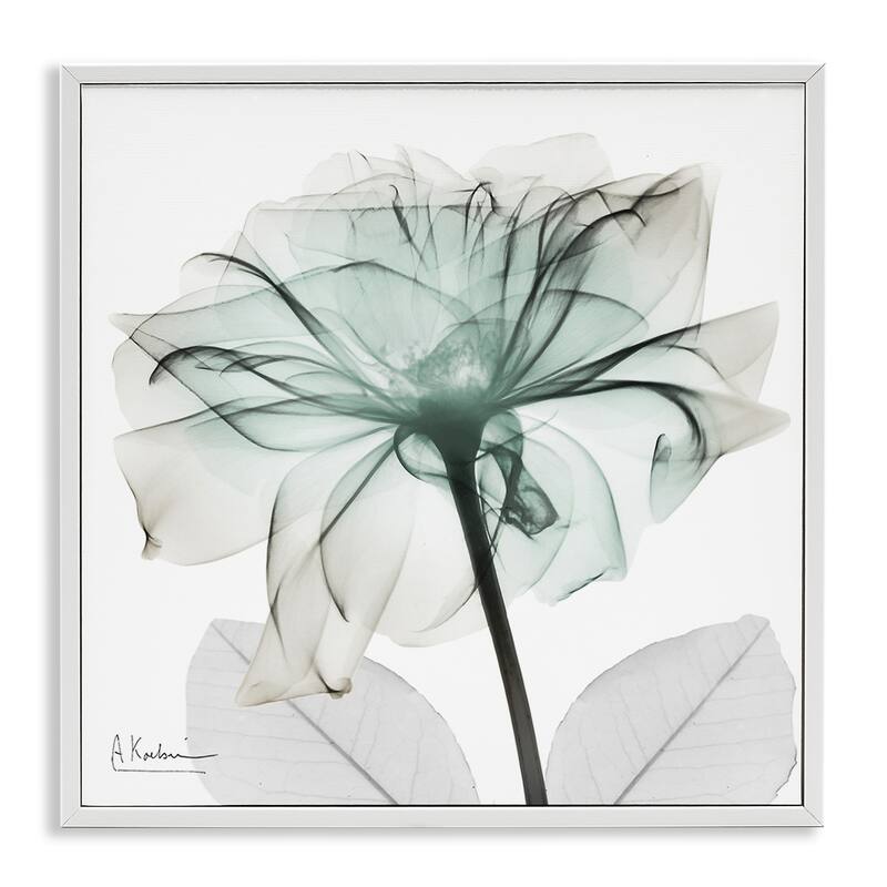 Stupell Unique Chic Flower Petal Framed Giclee Art Design By Albert Koetsier - 24 x 24 - White