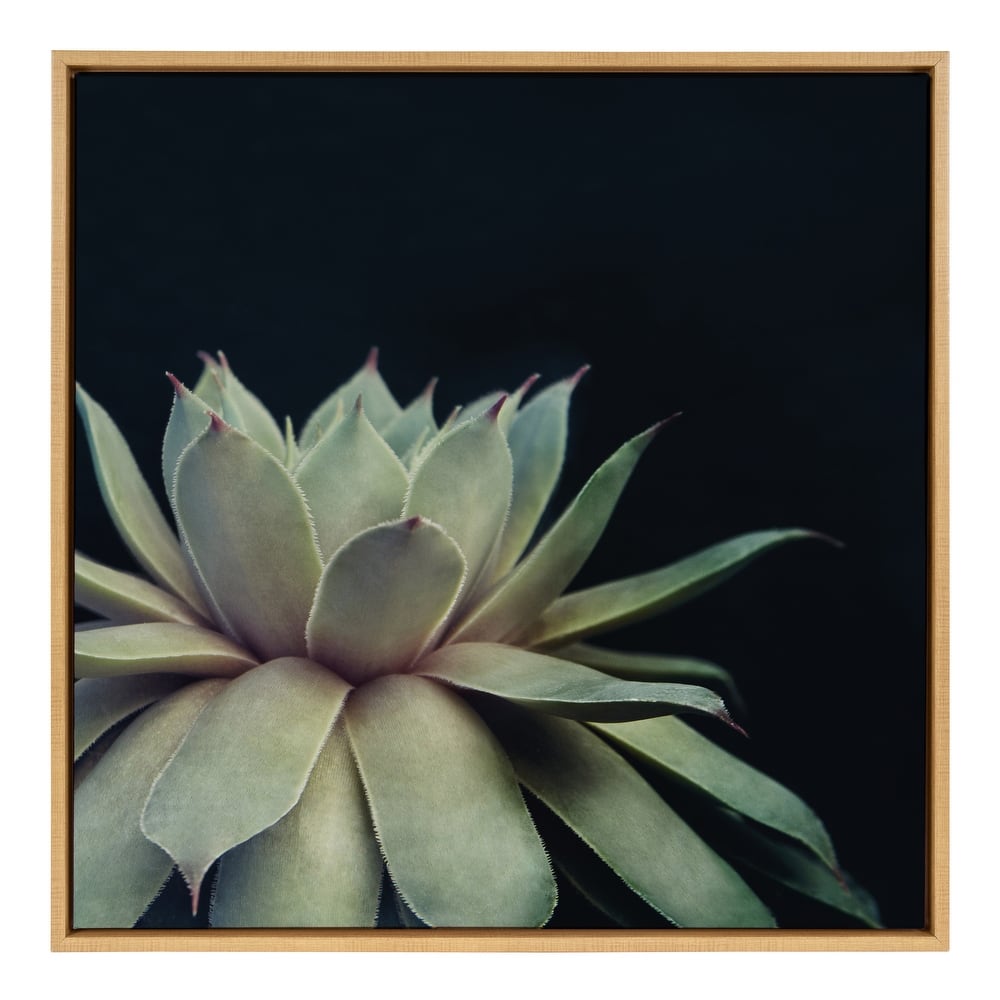 Sylvie Succulent 18x24 Gold Framed Canvas Wall Art by F2 Images