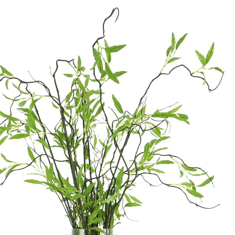 Willow Branch Arrangement in a Tall Glass Vase - Green