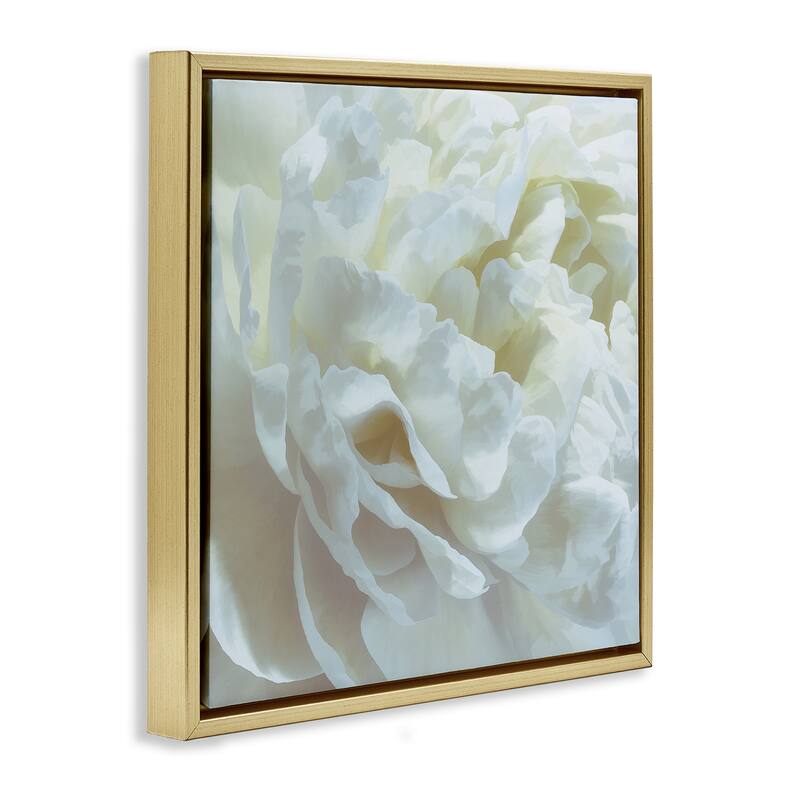 Stupell Elegant White Petals Framed Floater Canvas Wall Art Design By David Pollard