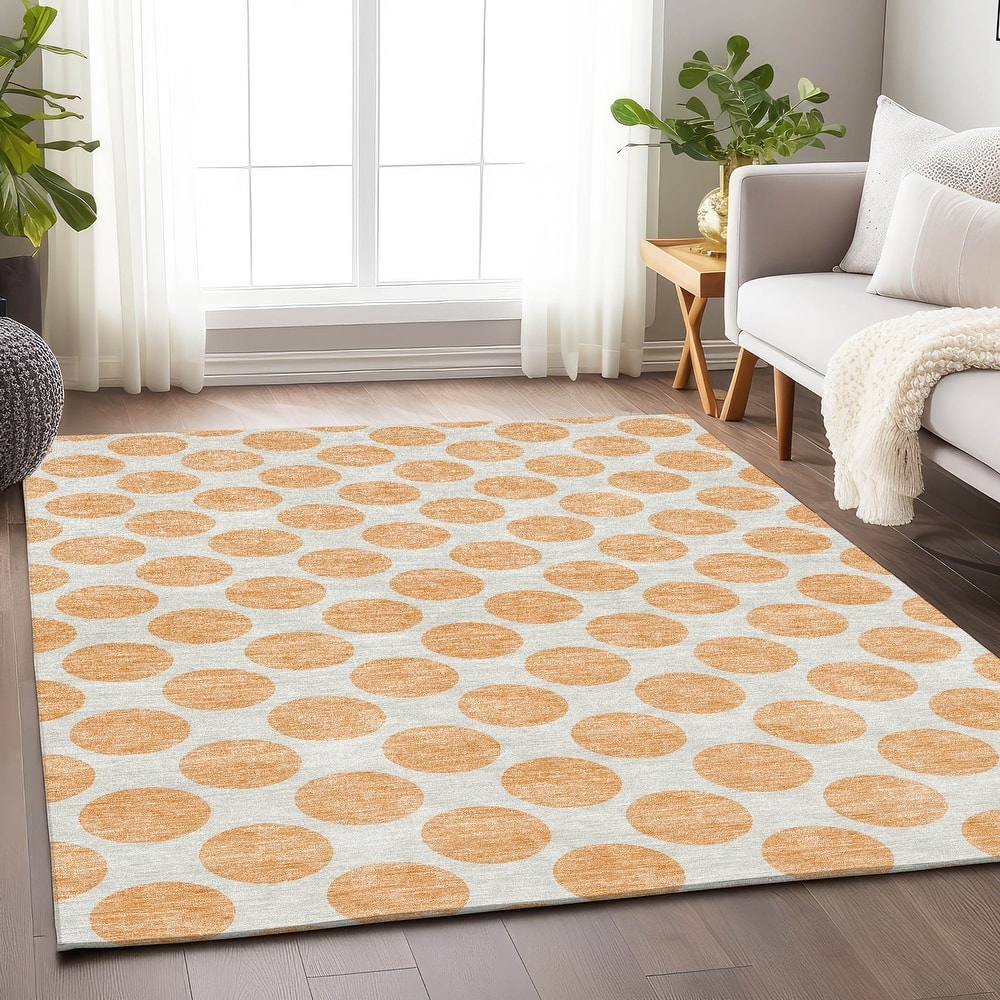 Premium Washable Super Soft Geo Dots Mayfield Rug