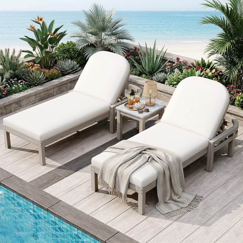 5-Position Adjustable Outdoor Chaise Lounge with Arched Backrest by Leisure Zone