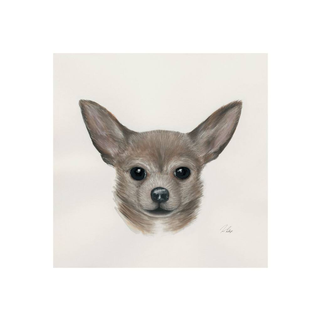 Charlote (Chihuahua) (20 x 20) Canvas Art Print