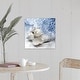 preview thumbnail 10 of 11, "Seashells washed ashore" Canvas Wall Art 20" x 20"