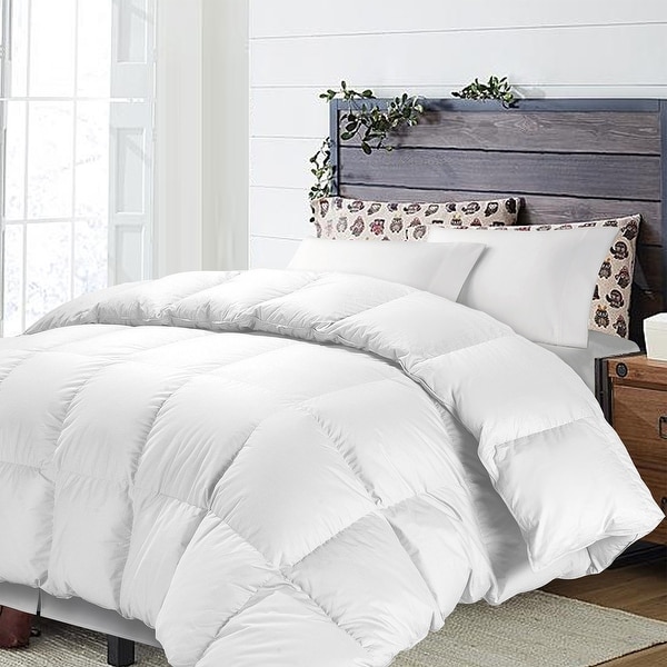 NTBAY Super Soft Luxury All Season Solid Color Twin&Queen&King Down Alternative Comforter Hypoallergenic Microfiber Duvet Insert. Opens flyout.