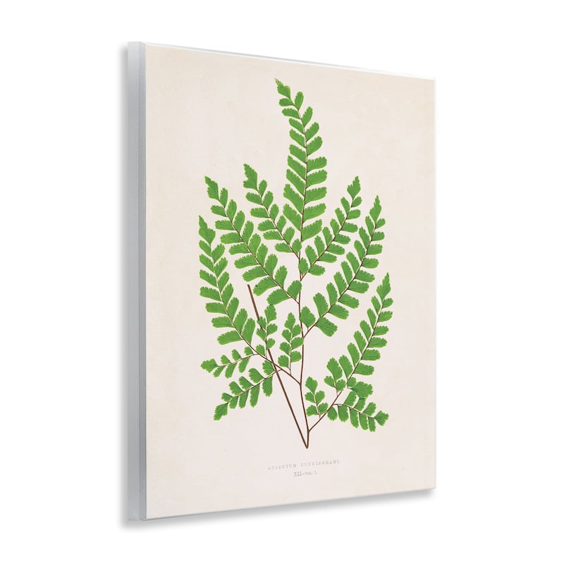 Stupell Woodland Sprigs Study Wall Plaque Art Design By Phillipa Katz