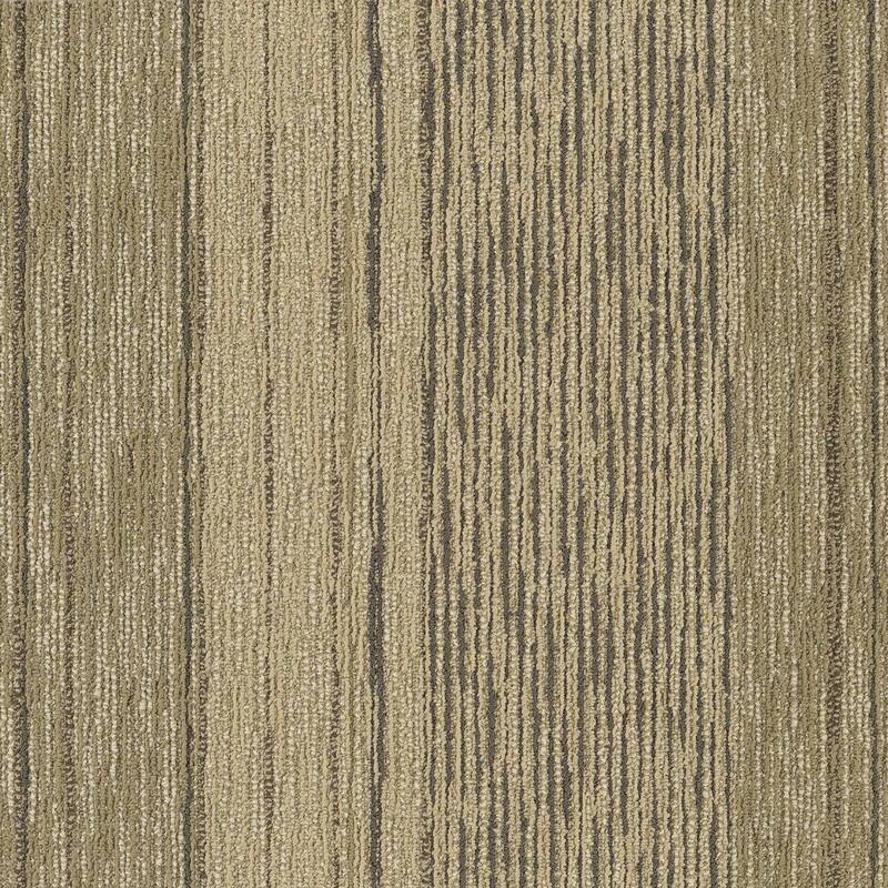 Shaw Philadelphia Commercial Unscripted 24" x 24" Glue Down Carpet - Improvisation