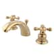Option Polished Brass