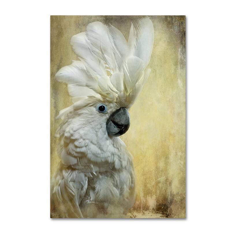 Lois Bryan 'Cocktoo' Canvas Art