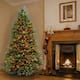 9-foot Faux Dunhill Fir Hinged Tree - Multi-Colored Lights