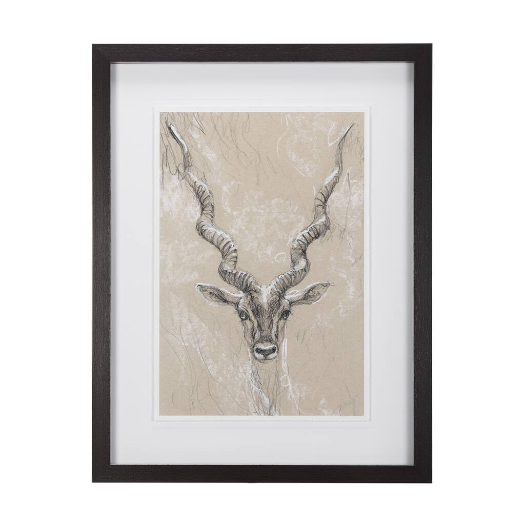 Sketch of Animal III (Antelope) Framed Art Print