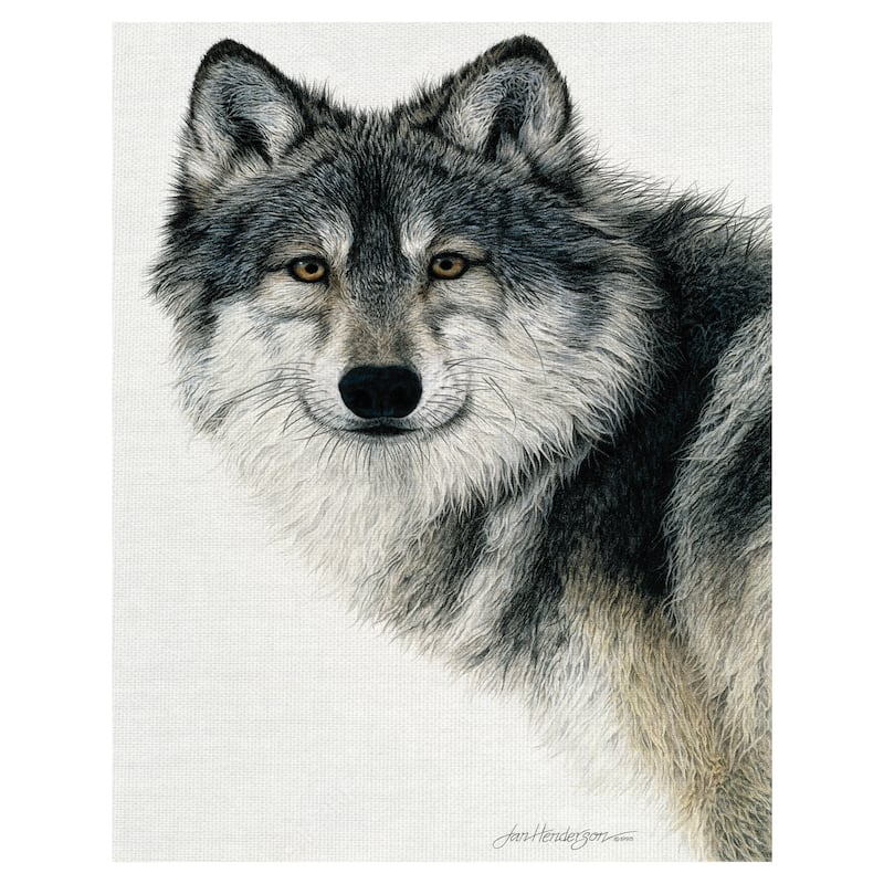 Silent Watch by Jan Henderson Canvas Art Print