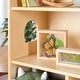 preview thumbnail 11 of 11, EdQ Essentials Dollhouse Bookcase