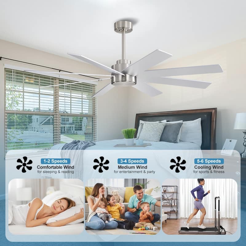 MLiAN 60 in. 8-Plywood Blades Indoor Ceiling Fan With Remote...