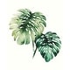 preview thumbnail 5 of 3, Easy Art Prints Grace Popp's 'Tropical Plant II' Premium Canvas Art