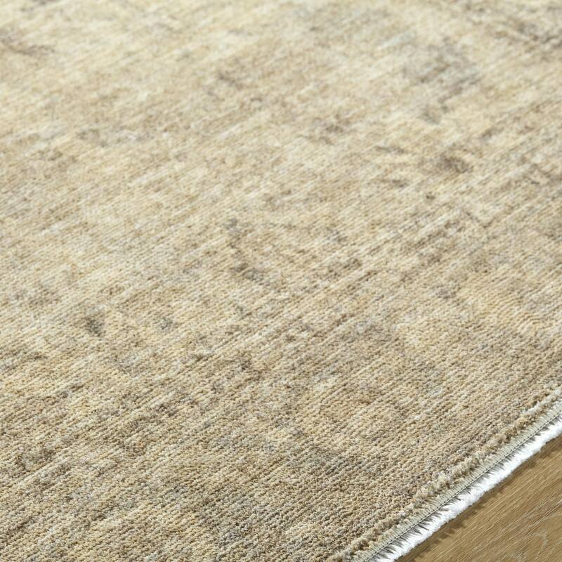 Galey Alix x Livabliss Fetscher II Vintage Medallion Area Rug