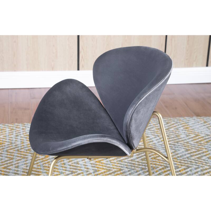 Velvet Dining Chairs Set of 2