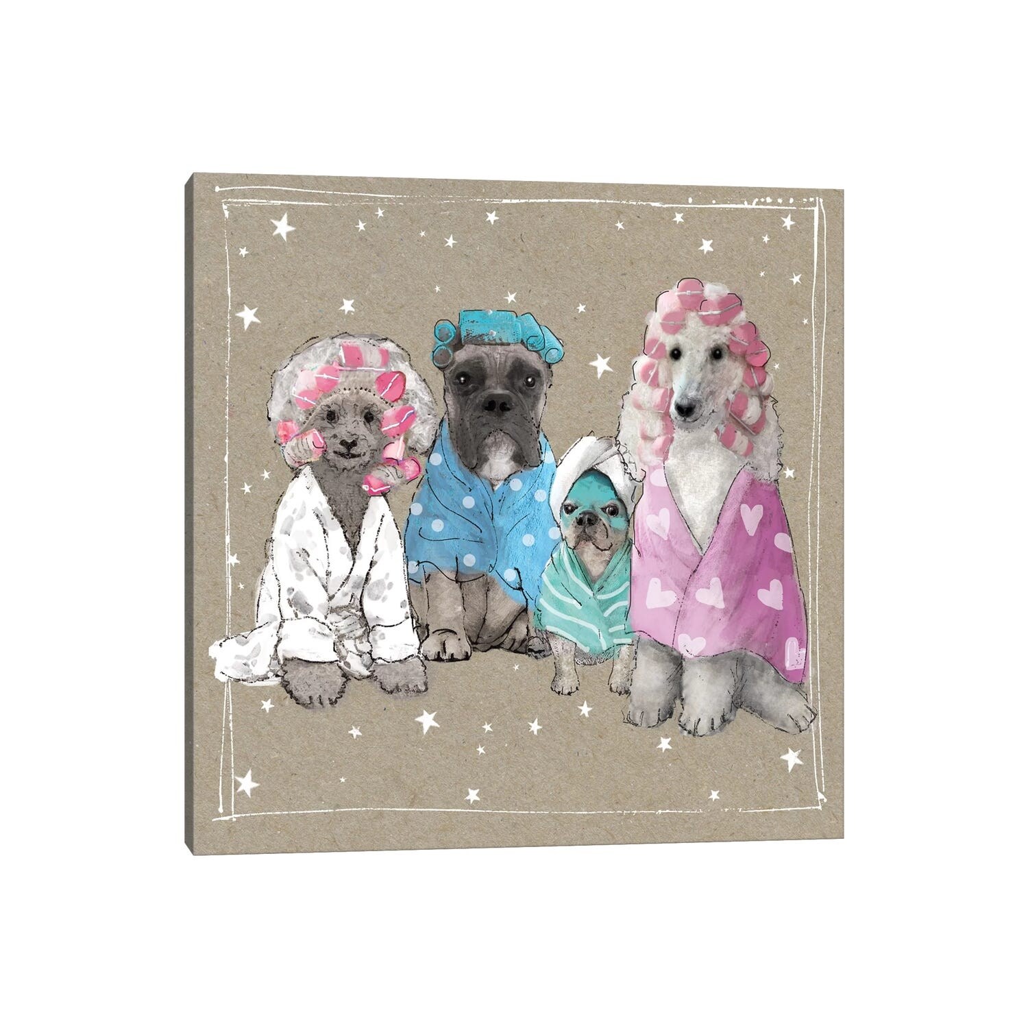 fancy pants for dogs