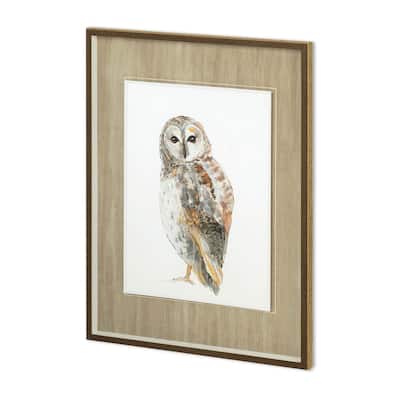 Owl I Framed Art Print