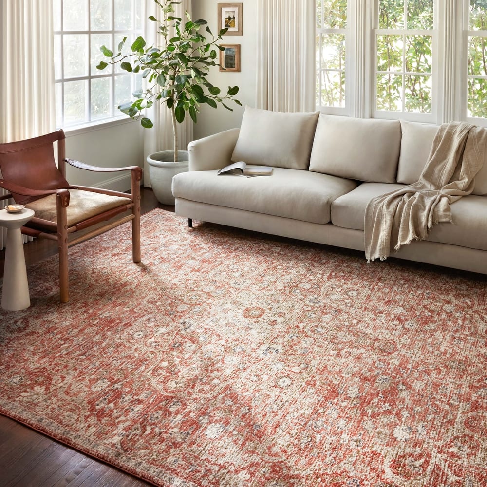 Alexander Home Valeria Distressed Botanical Area Rug