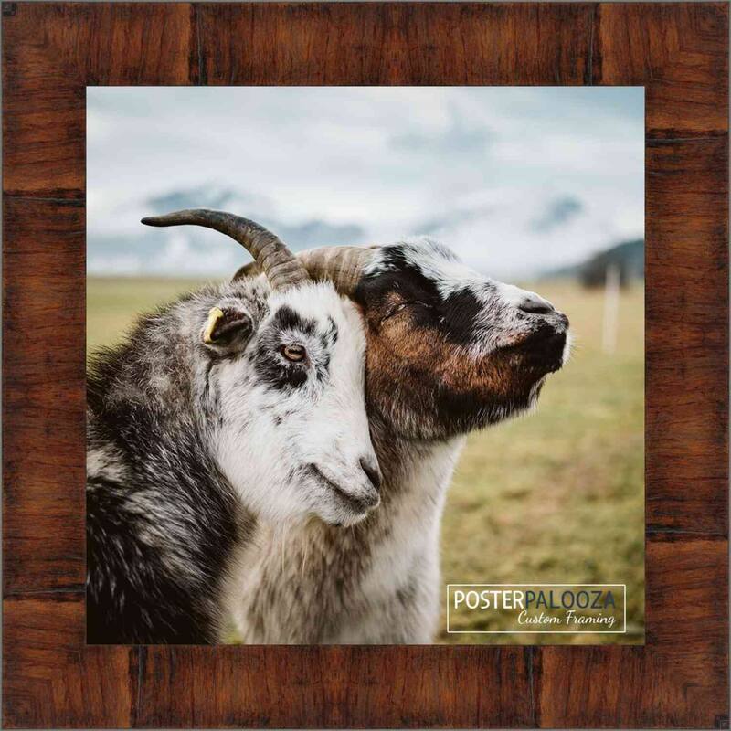 5x5 Contemporary Walnut Complete Wood Square Picture Frame with UV Acrylic, Foam Board Backing, & Hardware