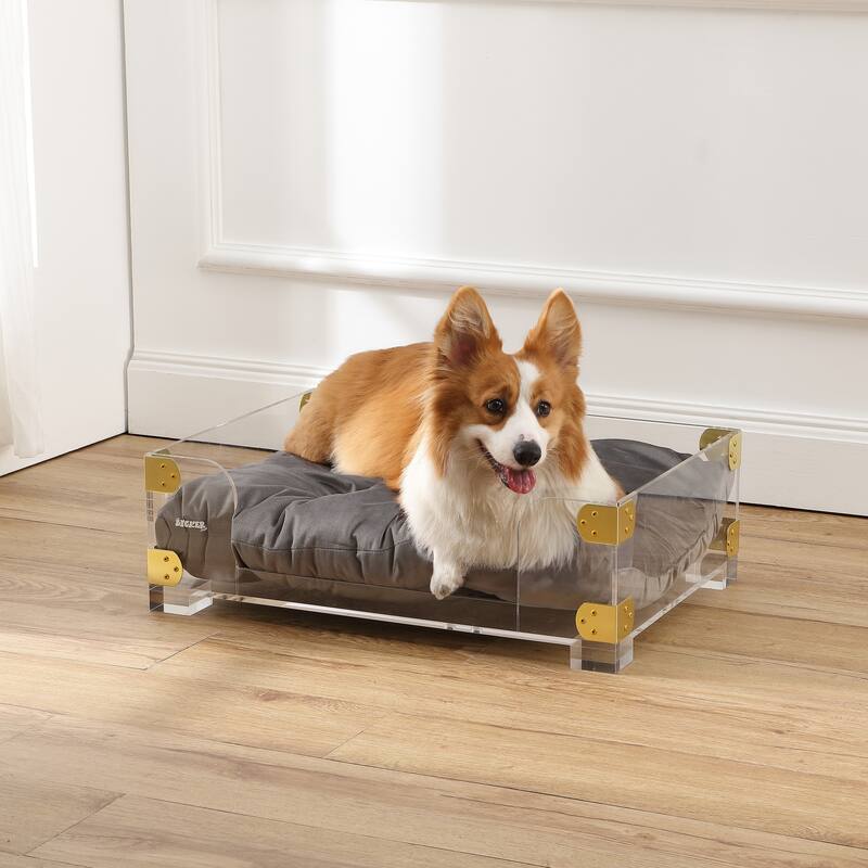 Haines 21.5" x 15.25" Small/Medium Modern Lucite Velvet Pet Bed with Washable Cushion, Dark Gray/Clear