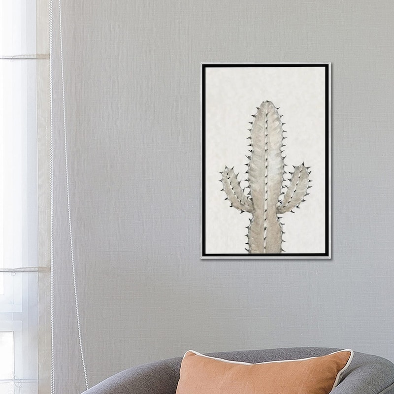 iCanvas "Cactus Study I" by Tim OToole Framed