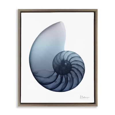 Stupell Contemporary Nautilus Shell Framed Floater Canvas Wall Art Design by Albert Koetsier