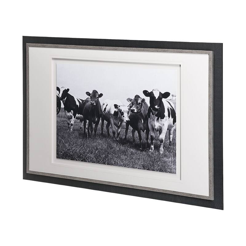 Curiosity Framed Art Print