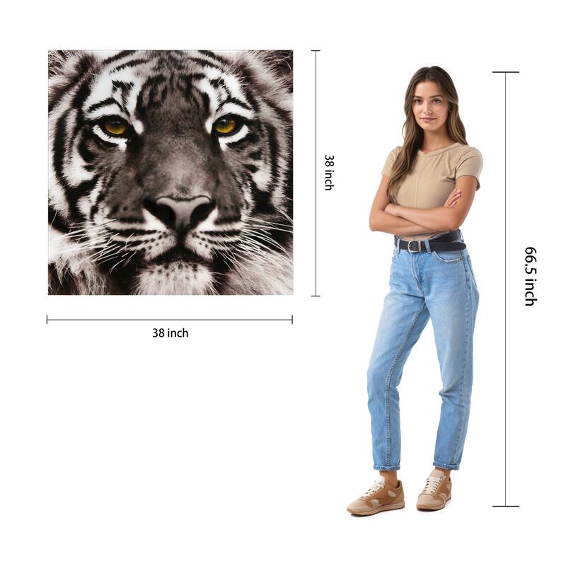 "Eye of the Tiger" Frameless Free Floating Tempered Glass Panel Graphic Wall Art