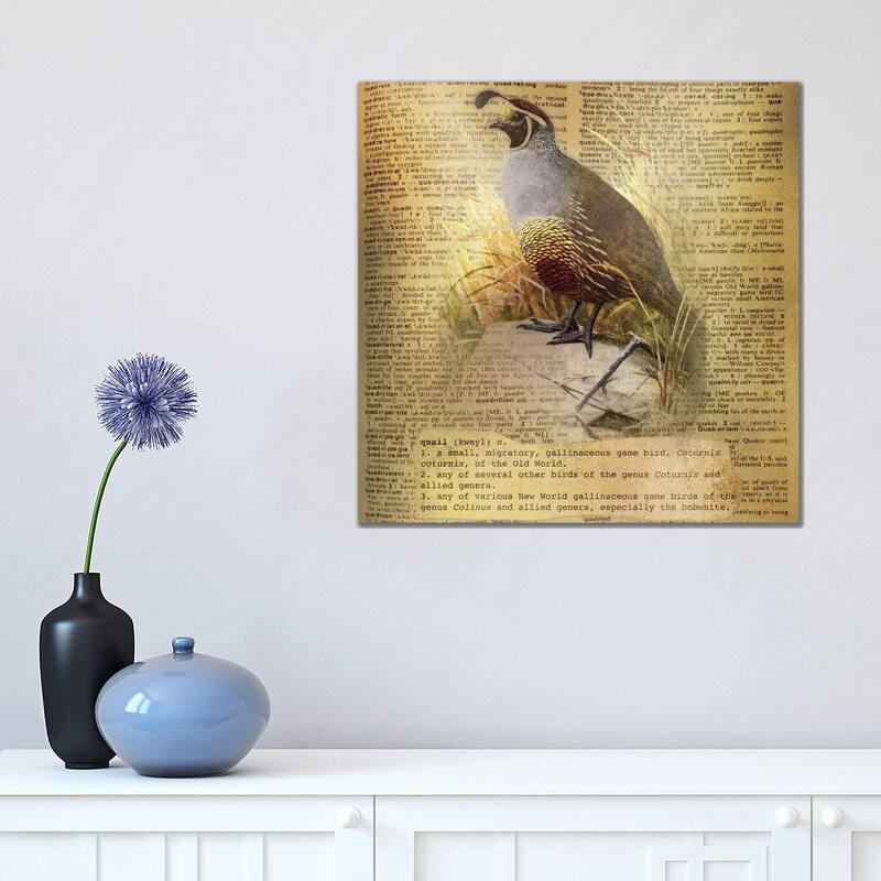 iCanvas "Q - Quail Square" by 5by5collective Canvas Print - 18x18x1.5