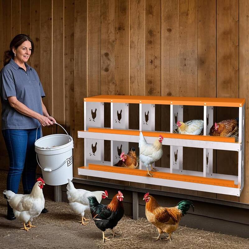 10 Compartment Metal Chicken Nesting Box, Laying Box for Hens Ducks Rabbits, Orange