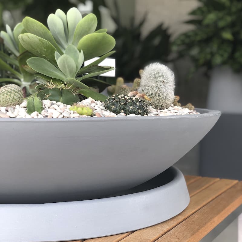 Universal Round Plant Saucer, Heavy Duty Planter Tray