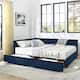 Option Dark Blue