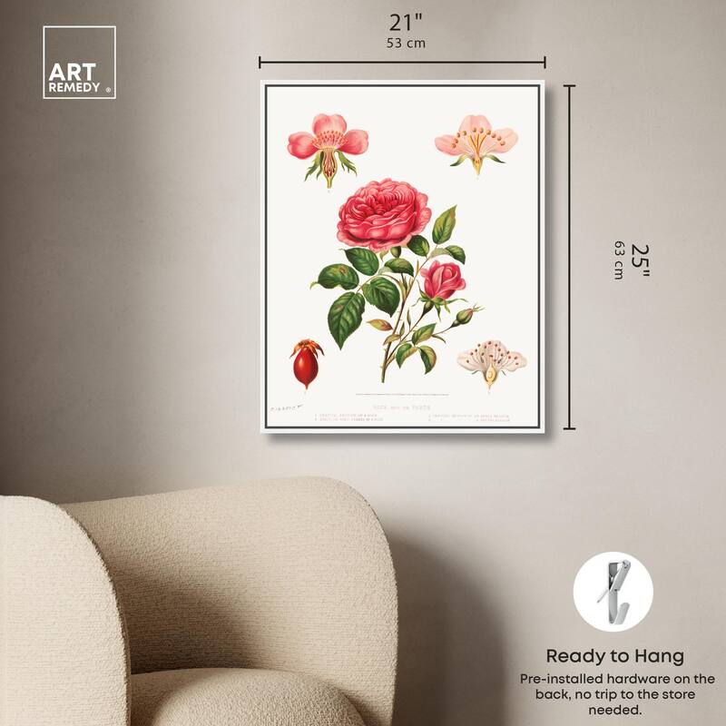 Rose and its parts (1872) Canvas by Art Remedy