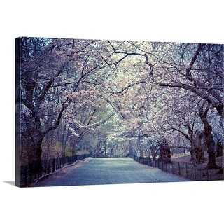 Great Big Canvas "Cherry blossoms in Central Park's in New York City." Muted Blue Black Wrapped Canvas Print Wall Artwork