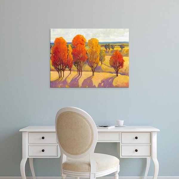 Easy Art Prints Tim OToole's 'Day Glow II' Premium Canvas Art