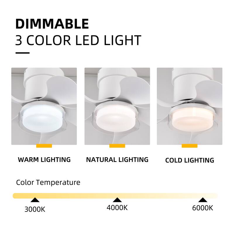 21 inch Ceiling Fan with 3 Color Temperatures Light and Remote Control DC Motor Powerful and low noise