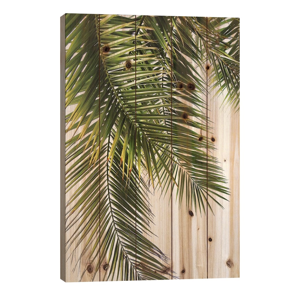 Palm Leaves Print On Wood by Lexie Greer - Multi-Color